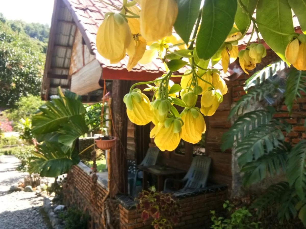 Lucky Bamboo'Bungalows-Resto And Orangutan Jungle Trekking Tours Bukit Lawang Extérieur photo
