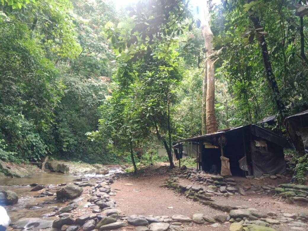 Lucky Bamboo'Bungalows-Resto And Orangutan Jungle Trekking Tours Bukit Lawang Extérieur photo
