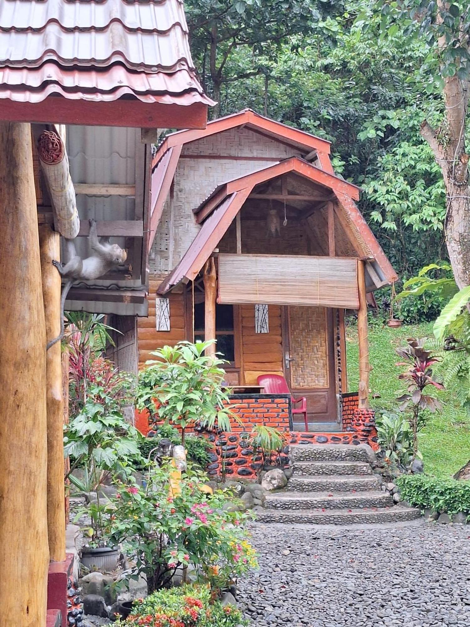 Lucky Bamboo'Bungalows-Resto And Orangutan Jungle Trekking Tours Bukit Lawang Extérieur photo